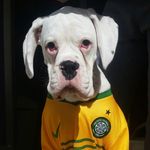 Profile Picture of seanmcbain15 (@seanmcbain15) on Instagram