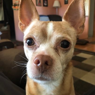 Profile Picture of Kevin Franczak (@kevfranczak) on Twitter