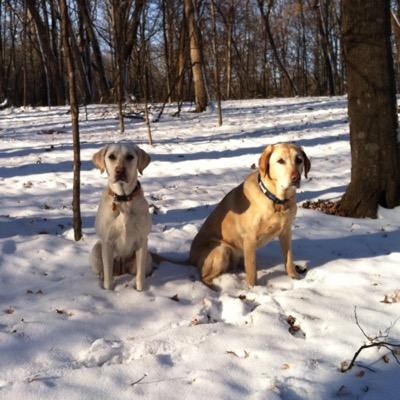 Profile Picture of Erik Haugland (@Erikhaugie2631) on Twitter