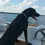 Profile Picture of Aimee Tate (@aimeezach) on Instagram