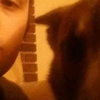 Profile Picture of Kevin Hammond (@kevin-hammond-32) on Quora