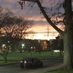 Profile Picture of James Ginnane (@james_ginnane) on Instagram