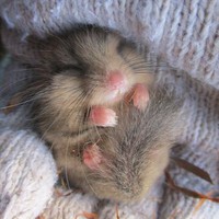 Profile Picture of Jasmine Wells (@jasmine-wells-75) on Quora