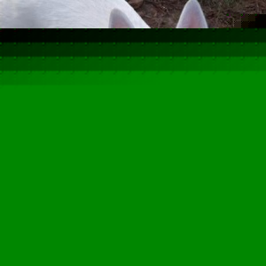 Profile Picture of Brad Entrekin (@brad75) on Myspace