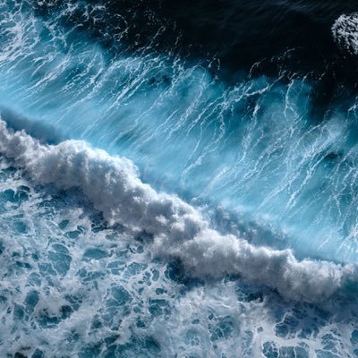 Profile Picture of Chris Olah (@chris_olah24) on Twitter