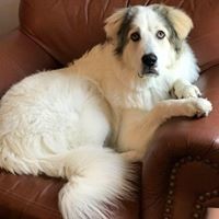 Profile Picture of Hannah Hammond (@hannah-hammond-26) on Quora