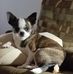Profile Picture of Darryl Ritchie (@darryl.ritchie.56) on Facebook
