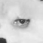 Profile Picture of Jeffrey Sanders 🤪😈😎 (@jeffysandy._.lmao) on Instagram