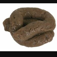 Profile Picture of . (@NicholasBarden) on Twitter