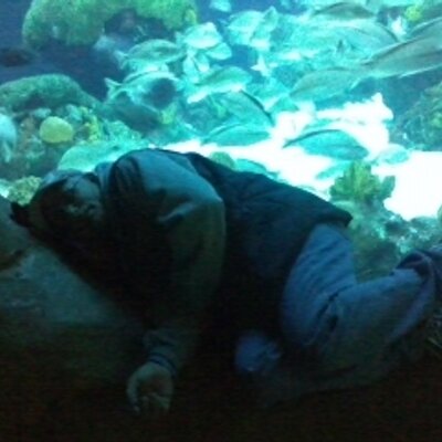 Profile Picture of Peter Blank (@pblank72055) on Twitter