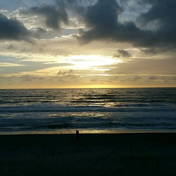 Profile Picture of Nick Badii (@nickba) on Poshmark