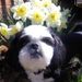 Profile Picture of Wanda Wilkinson (@wanda86) on Pinterest
