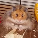 Profile Picture of Michael Limbert (@michael.limbert.1) on Instagram