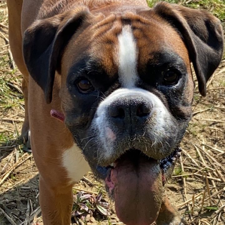 Profile Picture of Jared Crowe (@jaredcrowe4) on Tiktok