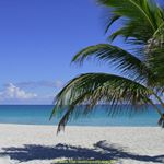 Profile Picture of Robert Ortlieb (@robert.ortlieb.priv) on Instagram