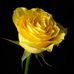 Profile Picture of Ruchi Anand (@ruchi.anand.733) on Facebook