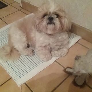 Profile Picture of Stéphanie Fisson (@stephanie.fisson.3) on Facebook