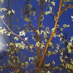 Profile Picture of Austin Olson (@ridgecrest_photography) on Instagram