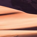 Profile Picture of leo coleman (@leocoleman9) on Instagram