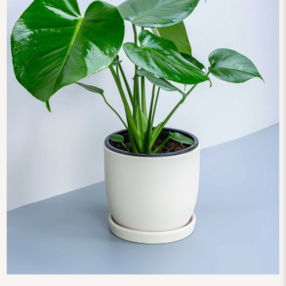 Profile Picture of Harpreet Bhalla (@harpreetbhalla) on Poshmark