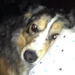 Profile Picture of Traci Albright (@jakeamom) on Instagram