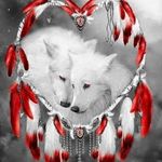 Profile Picture of Mandy Cummings (@cummingsmandy) on Instagram