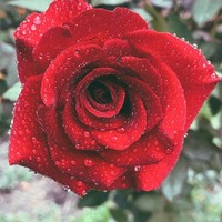 Profile Picture of Greg Henry  (@greg-henry-116) on Quora