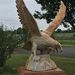 Profile Picture of Malcolm Robbins (@malcolm3921) on Pinterest