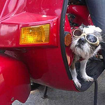 Profile Picture of David Berg! (@David Berg!) on Flickr