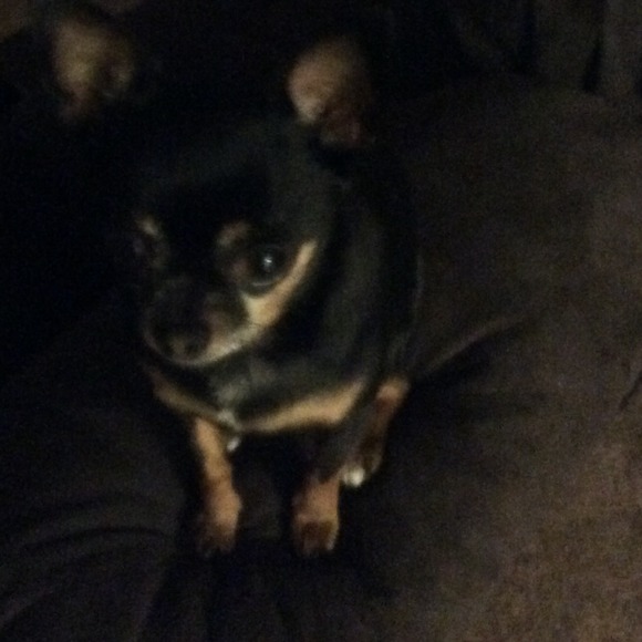 Profile Picture of Amanda Pouncey (@mano28) on Poshmark