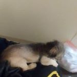 Profile Picture of Kevin Musgrove (@kevinmusgrove1960) on Instagram