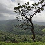 Profile Picture of Joshua Mascarenhas (@joshuawrites04) on Instagram