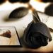 Profile Picture of Jason Jolliffe (@jasonj0063) on Pinterest