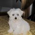 Profile Picture of Nancy Loper (@nancy.loper.52) on Facebook