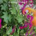 Profile Picture of Marilyn Reckman (@marilyn.reckman.5) on Facebook