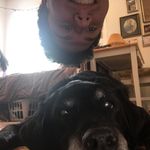 Profile Picture of Jerry Walsh (@walshjerry) on Instagram