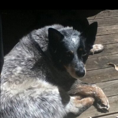 John Maunder - Twitter Profile Picture of John Maunder (@oldbold56) on Twitter