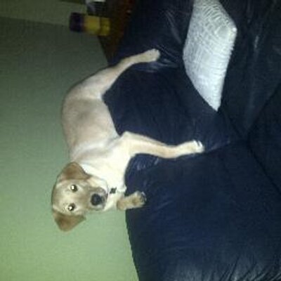 Profile Picture of Benjamin (@witmer84) on Twitter