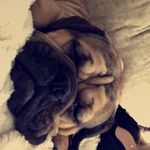 Profile Picture of Aaron Sturm (@aaron.sturm_) on Instagram