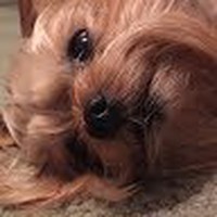 Profile Picture of Randy Newlin (@randy-newlin-2) on Quora