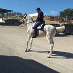 Profile Picture of Fernando Gil (@fernando.gil.37819959) on Instagram