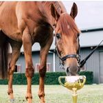 Profile Picture of Bob Leitch (@bob_leitch67) on Instagram