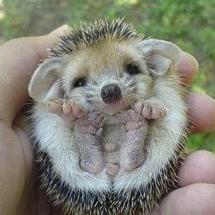 Robert Bonnar - Facebook Profile Picture of Robert Bonnar (@robert.bonnar.94) on Facebook