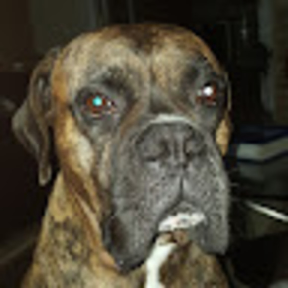 Profile Picture of Esther Lansaw (@esthert8577) on Poshmark