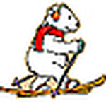 Profile Picture of Eric Schen & Laurie Lau (@eric schen & laurie lau) on Flickr