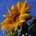 Profile Picture of Ayes (@ayes.ayes.56027) on Facebook