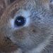 Profile Picture of Lukezielinski (@lukezielinski4371) on Pinterest