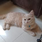 Profile Picture of James Rubiano (@james.rubiano.2024) on Facebook