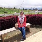 Profile Picture of June Ahmad (@junaidah1212) on Instagram