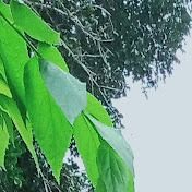 Profile Picture of Leo Lara (@leolara6072) on Youtube